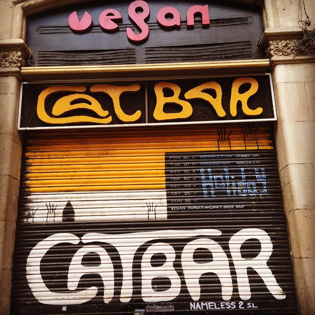 Cat Bar Vegan
